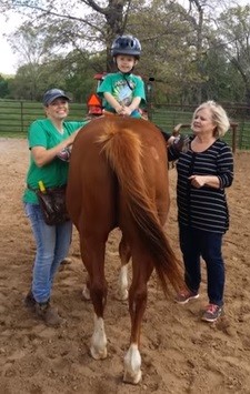 hOOFIN IT BACKWARD HORSE HOOFIN IT BACKWARD HORSE
